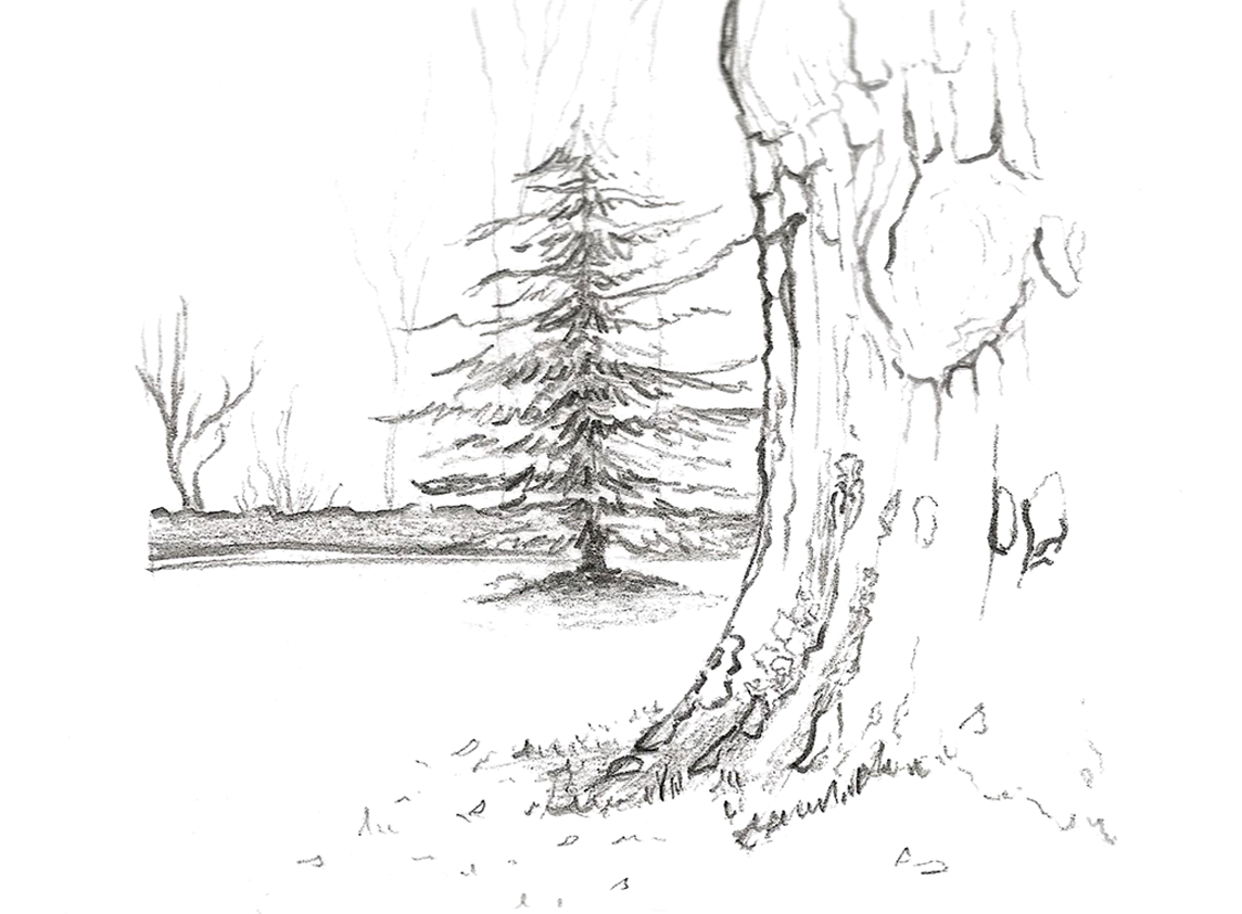 Realisations personnelles